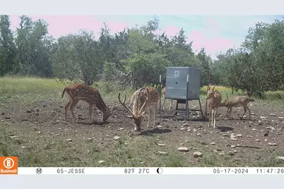 65 Miles Lane, Harper, TX 78631 - Photo 10