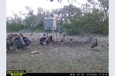 65 Miles Lane, Harper, TX 78631 - Photo 8