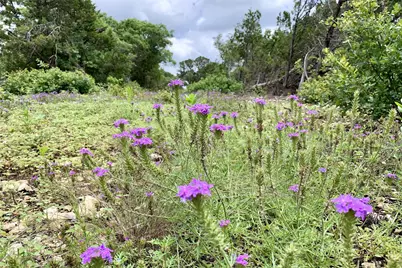 Lot 7 Sawtooth Drive, Bertram, TX 78605 - Photo 6