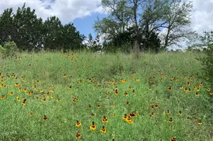 Lot 7 Sawtooth Dr, Bertram, TX 78605 - Photo 8