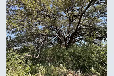 Lot 49 Serenity Drive, Bertram, TX 78605 - Photo 16