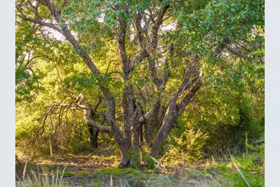 128 Private Road 142, Lampasas, TX 76550 - Photo 28