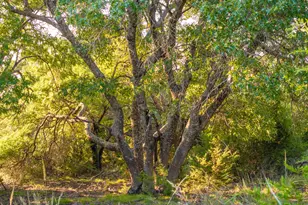 128 Private Road 142, Lampasas, TX 76550 - Photo 28