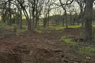 201 Deer Springs Loop, Burnet, TX 78611 - Photo 28