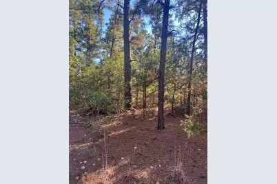 Tbd Pine Lodge Drive, Bastrop, TX 78602 - Photo 1