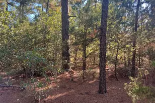 Tbd Pine Lodge Dr, Bastrop, TX 78602 - Photo 1