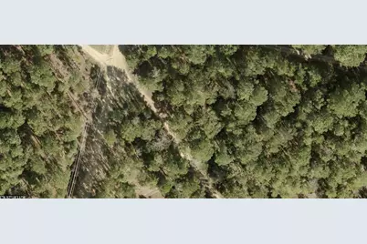 Tbd Pine Lodge Drive, Bastrop, TX 78602 - Photo 6