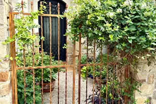 831 Southriver Rd, Wimberley, TX 78676 - Photo 4