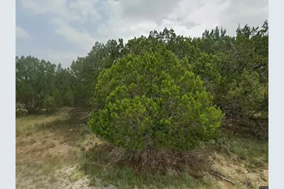 2709 Custer Cove, Lago Vista, TX 78645 - Photo 1
