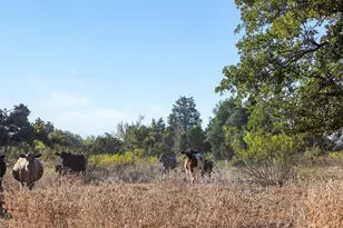 139 FM 696, Elgin, TX 78621 - Photo 18