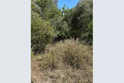 Tbd Pine Hill Loop Loop, Bastrop, TX 78602 - Photo 6