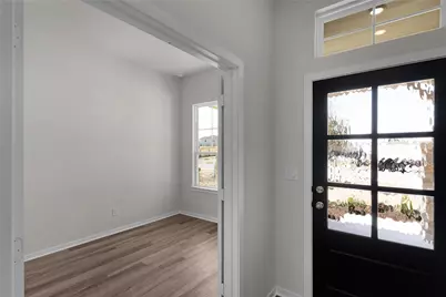 228 Blue Vervain Trail, Georgetown, TX 78633 - Photo 4