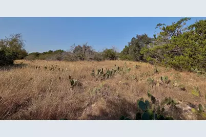 123 Appaloosa Cove, Jarrell, TX 76537 - Photo 6