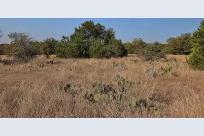 123 Appaloosa Cove, Jarrell, TX 76537 - Photo 10
