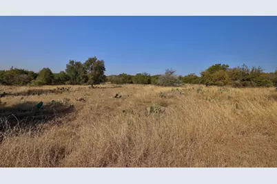123 Appaloosa Cove, Jarrell, TX 76537 - Photo 12