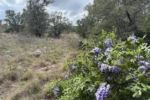 Lot 34 Eagle Feather, Kingsland, TX 78639 - Photo 1