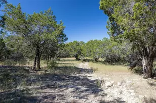 412 S Bear Creek Rd, Liberty Hill, TX 78642 - Photo 1