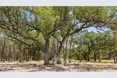 Tract 5 Cypress Cove Road, Spring Branch, TX 78070 - Photo 8