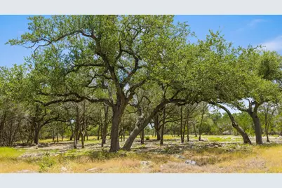 Tract 5 Cypress Cove Road, Spring Branch, TX 78070 - Photo 14