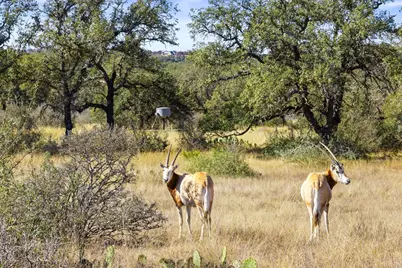 1292 Upper Turtle Creek Road, Kerrville, TX 78028 - Photo 40