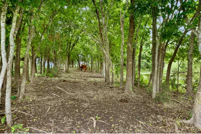 4021 E Fm 243, Bertram, TX 78605 - Photo 6