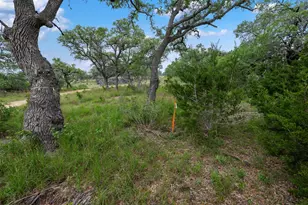 155 SW Crosswater Ln, Dripping Springs, TX 78620 - Photo 6
