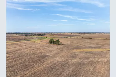 52.27 Acres County Road 301, Granger, TX 76530 - Photo 10