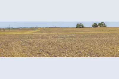 52.27 Acres County Road 301, Granger, TX 76530 - Photo 14