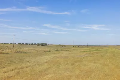 52.27 Acres County Road 301, Granger, TX 76530 - Photo 16