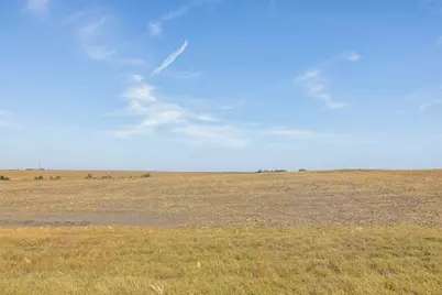 52.27 Acres County Road 301, Granger, TX 76530 - Photo 18