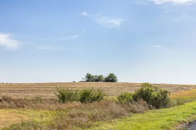 52.27 Acres County Road 301, Granger, TX 76530 - Photo 20