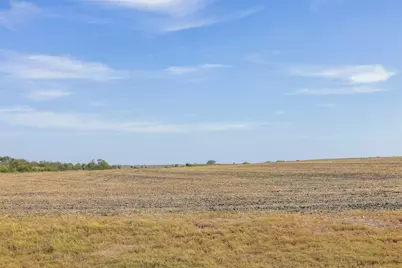 52.27 Acres County Road 301, Granger, TX 76530 - Photo 22