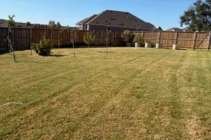 209 Tumbling Creek Run, Kyle, TX 78640 - Photo 6
