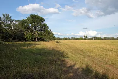 6020 Fm 3158 Highway, Dale, TX 78616 - Photo 16