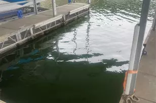 1601 Judy Lynn Dr, Spicewood, TX 78669 - Photo 18