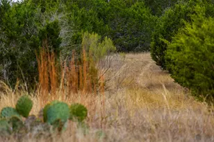 Tbd County Road 200, Bertram, TX 78611 - Photo 12