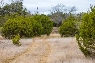 Tbd County Road 200, Bertram, TX 78611 - Photo 16