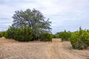 Tbd County Road 200, Bertram, TX 78611 - Photo 8