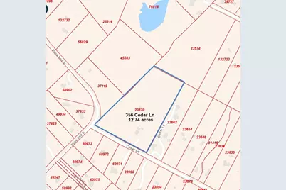 356 Cedar Lane, Cedar Creek, TX 78612 - Photo 36