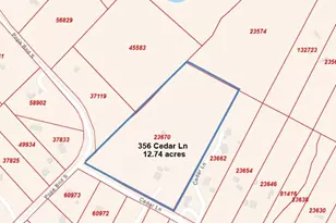 356 Cedar Ln, Cedar Creek, TX 78612 - Photo 36