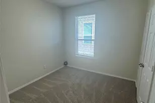 351 Mistflower, New Braunfels, TX 78130 - Photo 8