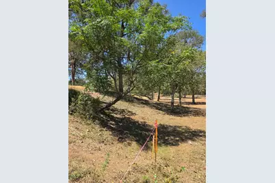 183 Wilbarger Cove, Elgin, TX 78621 - Photo 2