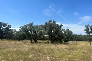 Tbd Pr 4219 Lot 94, Evant, TX 76525 - Photo 6
