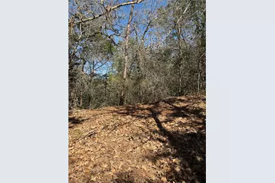 Lot 321 Keneka Lane, Bastrop, TX 78602 - Photo 6