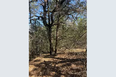 Lot 321 Keneka Lane, Bastrop, TX 78602 - Photo 1