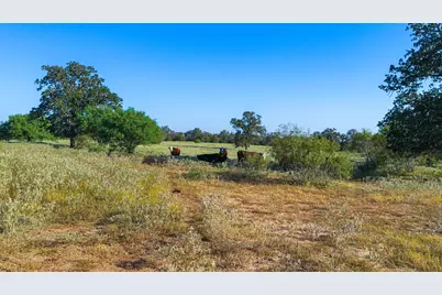 2612 Roosevelt Drive, Kingsbury, TX 78638 - Photo 10