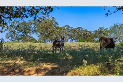 2612 Roosevelt Drive, Kingsbury, TX 78638 - Photo 28
