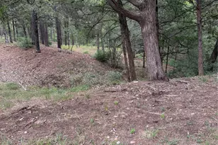 Lot 292 Aka Ct, Bastrop, TX 78602 - Photo 1