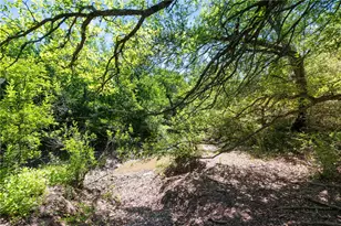 Tbd County Road 276, Liberty Hill, TX 78605 - Photo 12