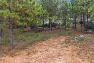 259 Pinehill Dr, Bastrop, TX 78602 - Photo 10